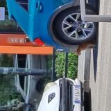 Photo de chat trouvé à Lyon