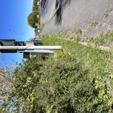 Photo de chat trouvé à Dammartin En Goele