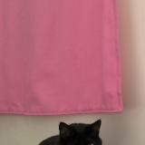 Photo de chat perdu à Aubervilliers