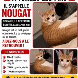 Photo de chat perdu à Vorges Les Pins