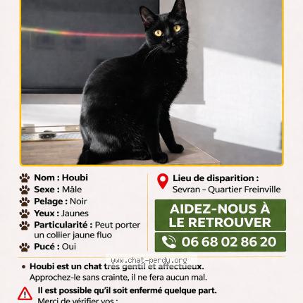 Photo 1/1 Houbi Chat perdu à Sevran