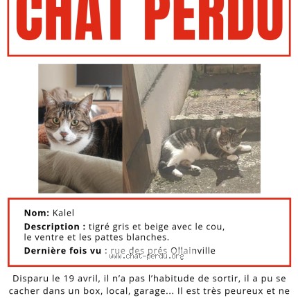 Photo de chat perdu à Ollainville