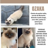 Ozaka