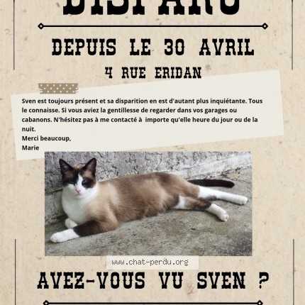 Photo de chat perdu à Villabe