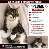 plume
