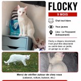 Flocky