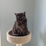 Ohlala