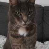 Jerry