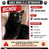 bichou