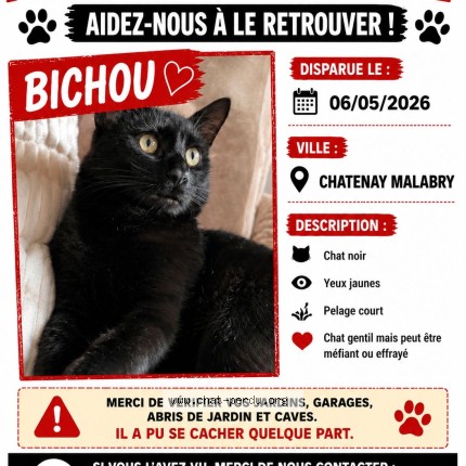 Photo 1/2 Chat retrouvé Perdu à Chatenay Malabry