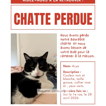 Photo 1/1 Arya Chat perdu à Laval