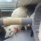 Yuki