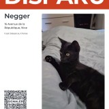 negger