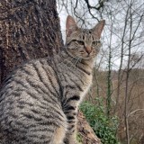 Kimeya