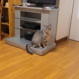 Filou