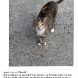 Zezette