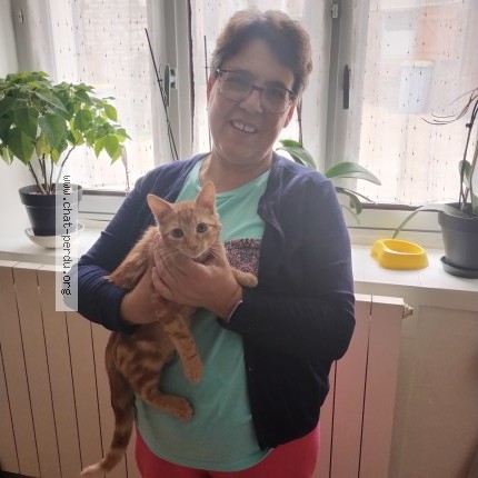 Photo 1/1 Chat retrouvé Perdu à Voiteur