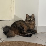 Spike