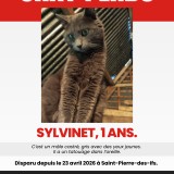 Sylvinet