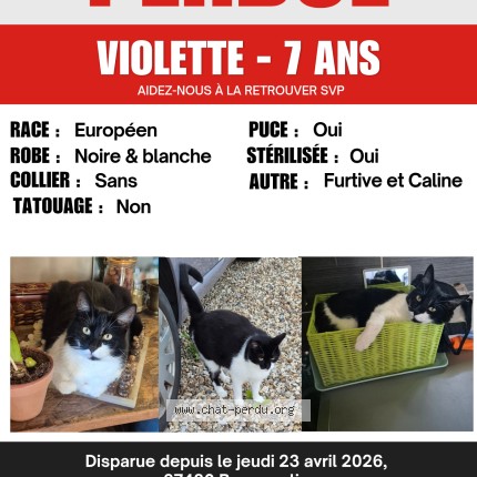Photo 1/1 Carmona Fabienne Chat perdu à Bosquentin