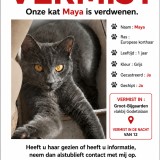 maya