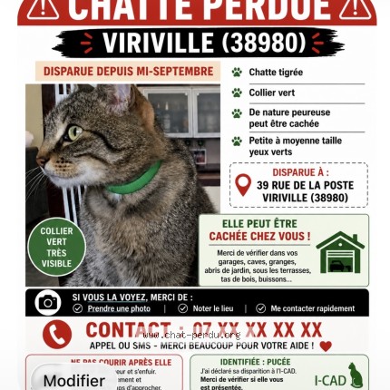 Photo de chat perdu à Viriville