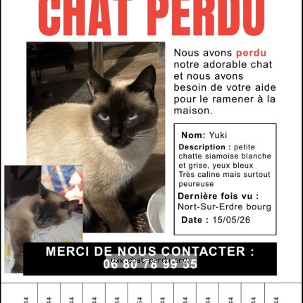 Photo 1/1 Yuki Chat perdu à Nort Sur Erdre