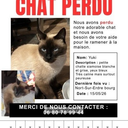 Photo 1/1 Chat retrouvé Perdu à Nort Sur Erdre