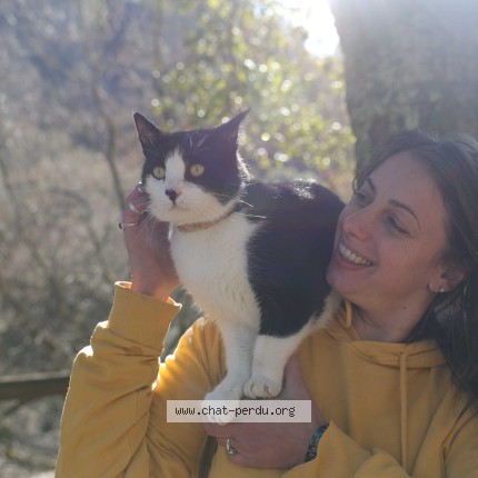 Photo 1/1 Mačack Chat perdu à Saint Benoit Sur Loire