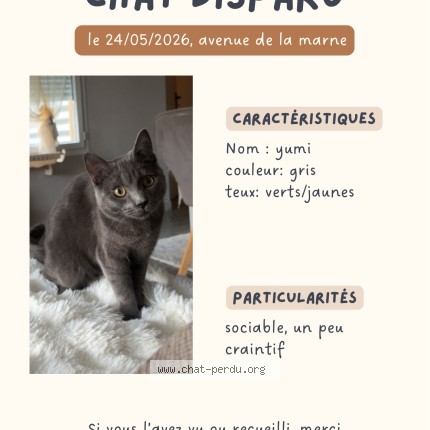 Photo de chat perdu à Sedan