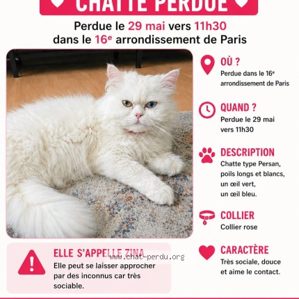 Photo de chat perdu à Paris