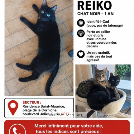 Photo 1/1 Reiko Chat perdu à Sete