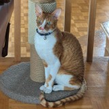 Walter