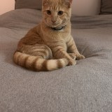 nala