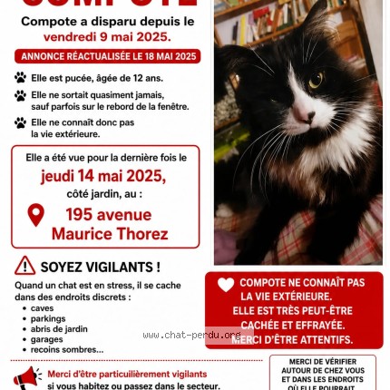 Photo de chat perdu à Ivry Sur Seine