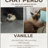 Vanille