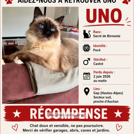 Photo 1/1 uno Chat perdu à Gap