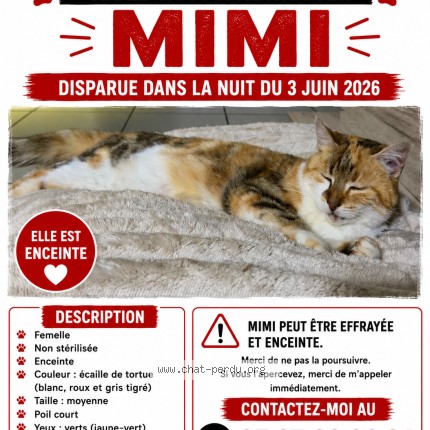 Photo de chat perdu à Chatellerault