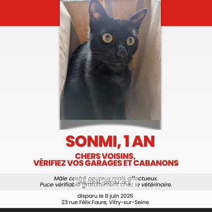 Photo de chat perdu à Vitry Sur Seine