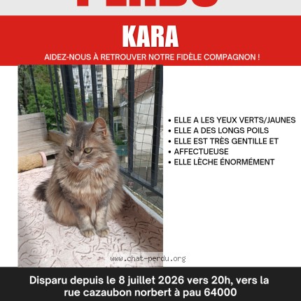 Photo 1/1 Chat retrouvé Perdu à Pau
