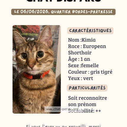 Photo de chat perdu à Stains
