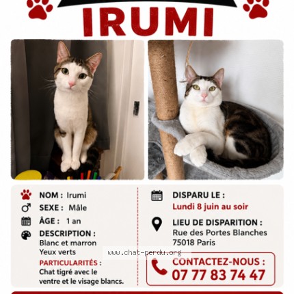 Photo de chat perdu à Paris