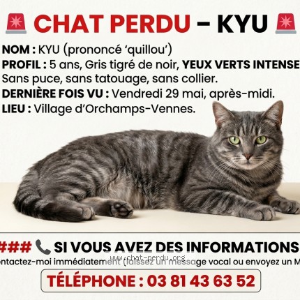 Photo de chat perdu à Orchamps Vennes