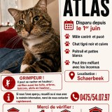 Atlas