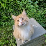 Ernest