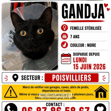 Photo 1/1 ga dja Chat perdu à Poisvilliers