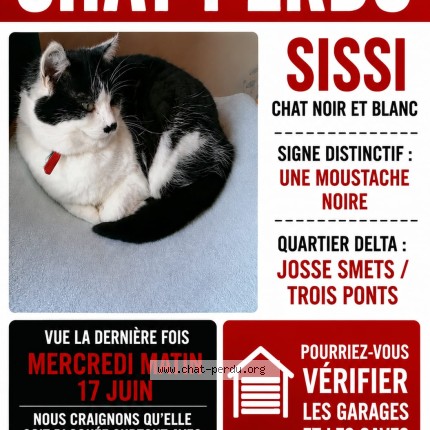 Photo 1/1 Sissi palma Chat perdu à Bruxelles