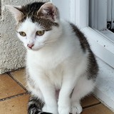 Minnie