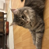 Tita