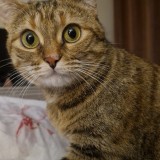 Moly